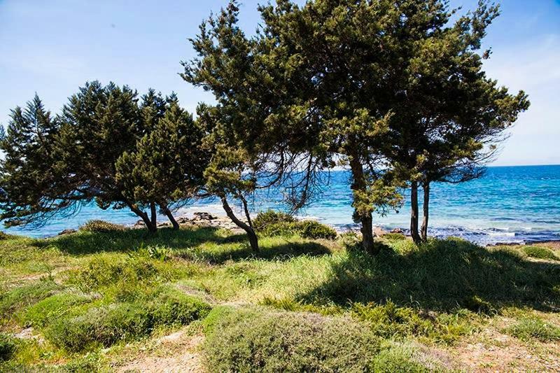 A House Between Ancient Olympia And The Ionian Sea Levendokhorion ภายนอก รูปภาพ