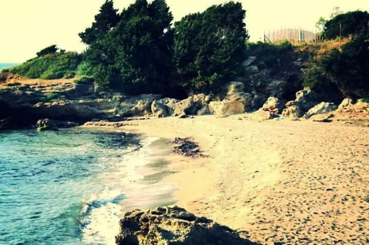 A House Between Ancient Olympia And The Ionian Sea Levendokhorion ภายนอก รูปภาพ